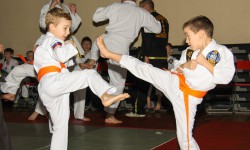 Аттестационный экзамен, 28.11.2015