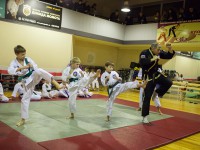 Экзамен по Чой Кван До. Итоги 2013 года.