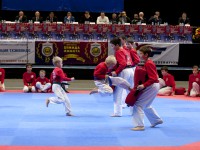 Кубок Балтийского моря, 17.10.2015