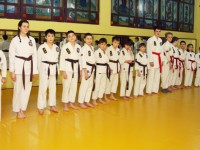 Сенатор Алексей Александров провёл очередную открытую тренировку по Чой Кван До