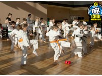 Детский экзамен Чой Кван До на цветные пояса!