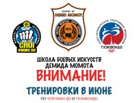 Тренировки летом 2016 года в Школе боевых искусств Демида Момота.