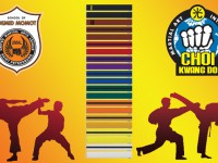 День специальных экзаменов по единоборствам в Школе Боевых Искусств Демида Момота – 7 марта 2017 года.