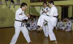 СПЕЦИАЛЬНЫЙ ЭКЗАМЕН НА «СТАРШИЕ» ПОЯСА ПО ЧОЙ КВАН ДО.