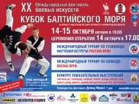 Кубок Балтийского моря 2017