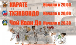 Специальный экзамен по Чой Кван До